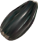 seed