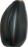 seed