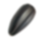 seed