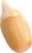 seed