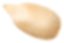 seed