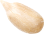 seed