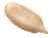 seed