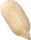 seed